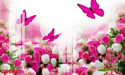 File tranh File gốc in tranh tổng hợp Q20811 (bản gốc) in canvas