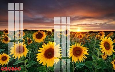 File ảnh File gốc in tranh tổng hợp Q20860 (gốc) in quảng cáo ngoài trời