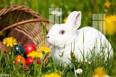 File tranh gốc PSD File gốc in tranh tổng hợp Q2087 còn nguyên layer