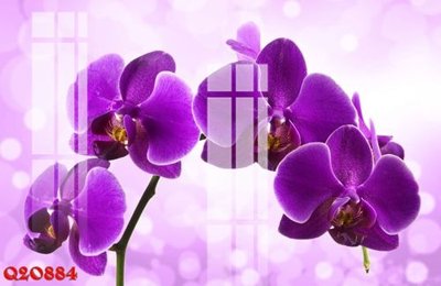 File PSD File gốc in tranh tổng hợp Q20884 (gốc) cho in quảng cáo