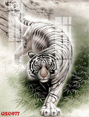 Ảnh gốc File gốc in tranh tổng hợp Q20977 (độ nét cao) in tráng gương