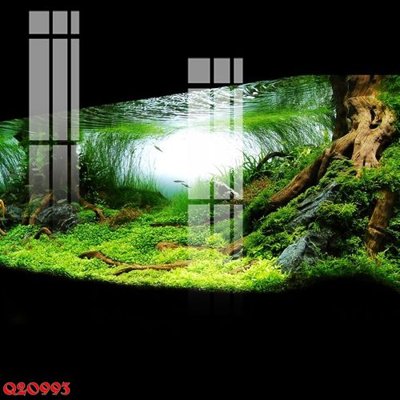 Mua file ảnh gốc File gốc in tranh tổng hợp Q20993 (chất lượng cao)