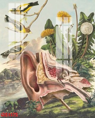 Download file File gốc in tranh tổng hợp Q21172 (gốc) cho xưởng in