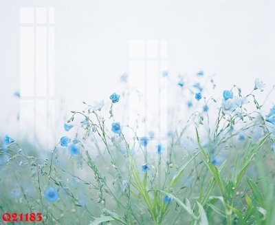 Mua file gốc File gốc in tranh tổng hợp Q21183 (PSD) tại Filetranh.com