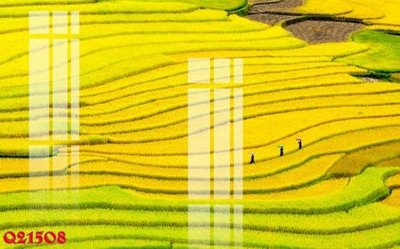 Tải file File gốc in tranh tổng hợp Q21508 (gốc) để in ấn ngay