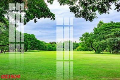 File tranh File gốc in tranh tổng hợp Q21509 (bản gốc) treo quán cafe