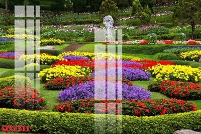 File ảnh File gốc in tranh tổng hợp Q21511 (gốc) in PP, decal