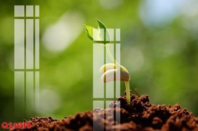 Tải file gốc File gốc in tranh tổng hợp Q21916 (bản PSD) còn layer