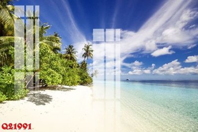 File tranh File gốc in tranh tổng hợp Q21991 (gốc) in vải canvas