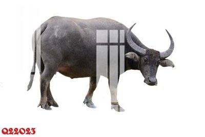 File PSD File gốc in tranh tổng hợp Q22023 (nguyên bản) cho thiết kế