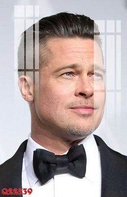 File gốc File gốc in tranh tổng hợp Q22539 (phiên bản chuẩn) để in ấn