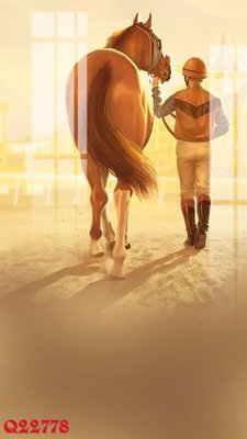 File in mica File gốc in tranh tổng hợp Q22778 (bản gốc) làm vách ngăn