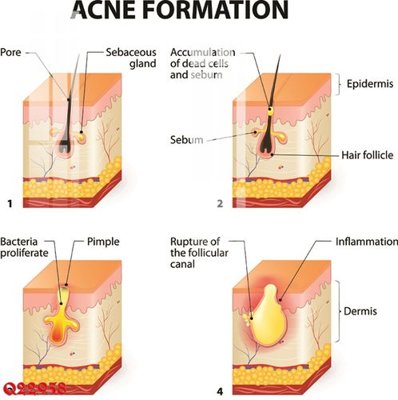 File gốc File gốc in tranh tổng hợp Q22958 (dành cho quảng cáo)
