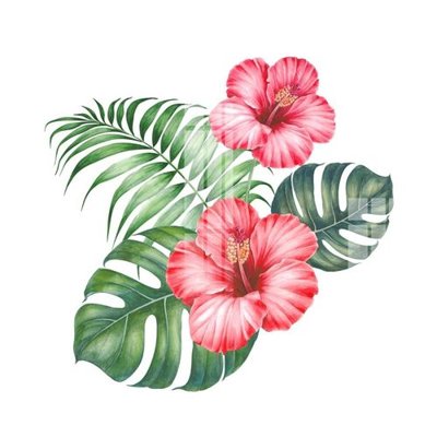 File in trần File gốc in tranh tổng hợp Q2442 (file gốc) chủ đề vũ trụ