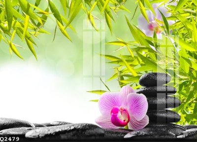 File tranh File gốc in tranh tổng hợp Q2479 (ảnh gốc) độ nét vượt trội