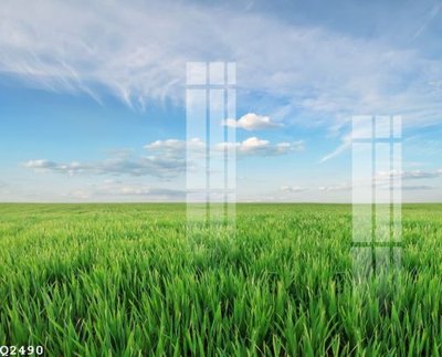 File gốc File gốc in tranh tổng hợp Q2490 (in mica) làm quà tặng