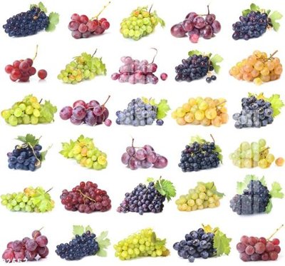 Ảnh gốc file in lụa File gốc in tranh tổng hợp Q2657 chi tiết