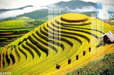 Ảnh mô tả file gốc in mica File gốc in tranh tổng hợp Q2685