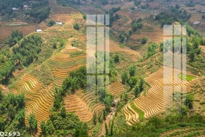 File ảnh gốc File gốc in tranh tổng hợp Q2693 (chuyên in mica)