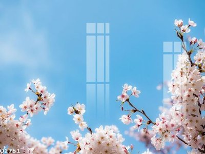 File in trần File gốc in tranh tổng hợp Q2751 (bản gốc) phong cảnh