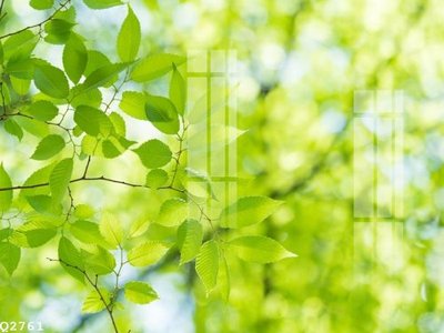 File gốc File gốc in tranh tổng hợp Q2761 (phiên bản chuẩn) để in ấn