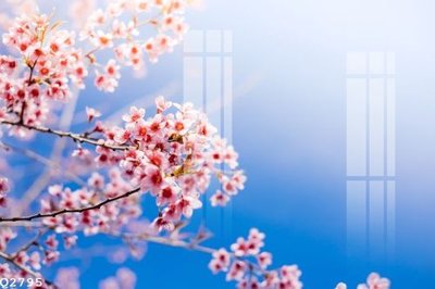 File tranh in trần 3D File gốc in tranh tổng hợp Q2795 (ảnh gốc)