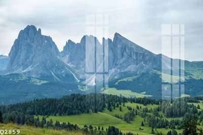 File in ấn File gốc in tranh tổng hợp Q2859 (bản gốc) chất lượng cao