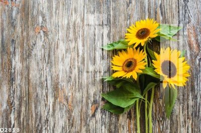 Tải file File gốc in tranh tổng hợp Q2898 (gốc) làm tranh treo tường