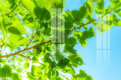 Tải file gốc File gốc in tranh tổng hợp Q2928 (in tráng gương) cao cấpFile gốc File gốc in tranh tổng hợp Q2928 (in ấn) phiên bản độc quyền