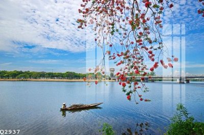 Hình ảnh file gốc in lụa File gốc in tranh tổng hợp Q2937