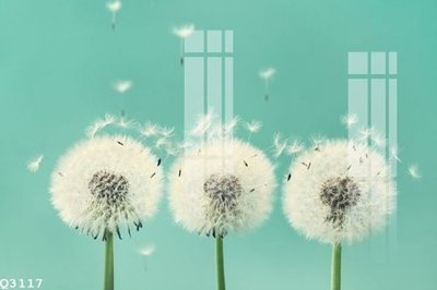 Tải file File gốc in tranh tổng hợp Q3117 (ảnh gốc) file AI/EPS