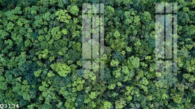 Tải file File gốc in tranh tổng hợp Q3134 (gốc) làm tranh trang trí