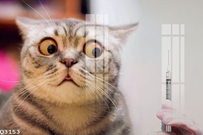 File PSD File gốc in tranh tổng hợp Q3153 (gốc) nhiều lớp (multi-layer)