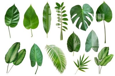 File tranh gốc File gốc in tranh tổng hợp Q3155 (bản quyền) Filetranh.com