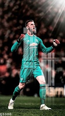 File gốc File gốc in tranh tổng hợp Q3300 (ảnh chi tiết) để in lụa