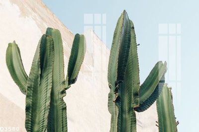 File gốc File gốc in tranh tổng hợp Q3580 (chuẩn CMYK) cho nhà in