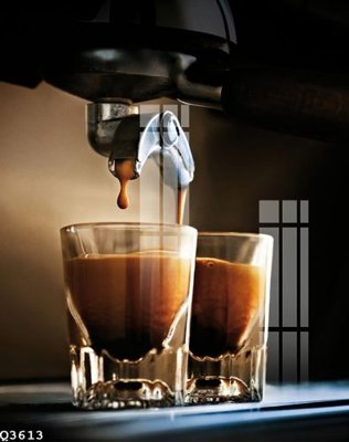 File tranh File gốc in tranh tổng hợp Q3613 (gốc) chủ đề động vật