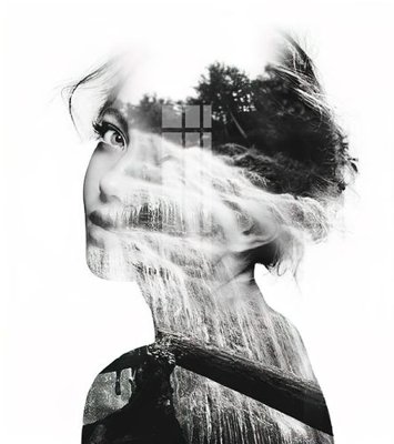 File in lụa File gốc in tranh tổng hợp Q3804 (hoa văn) File gốc in tranh tổng hợp Q3804