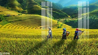 Tải file gốc File gốc in tranh tổng hợp Q3994 (bản PSD) gốc