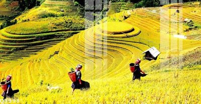 File tranh File gốc in tranh tổng hợp Q3998 (ảnh gốc) chi tiết rõ ràng