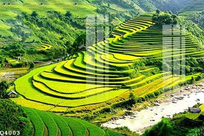 File gốc File gốc in tranh tổng hợp Q4003 (trang trí) phòng làm việc