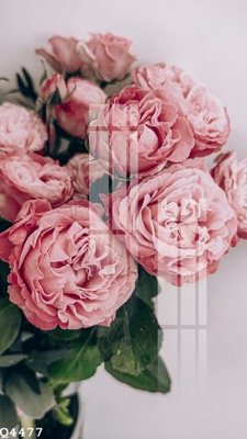 Tải file File gốc in tranh tổng hợp Q4477 (ảnh gốc) file AI/EPS