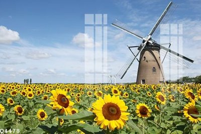 Hình ảnh gốc File gốc in tranh tổng hợp Q4478 (để in khổ lớn)