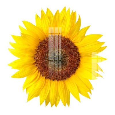 Download file gốc File gốc in tranh tổng hợp Q4615 (in mica) logo