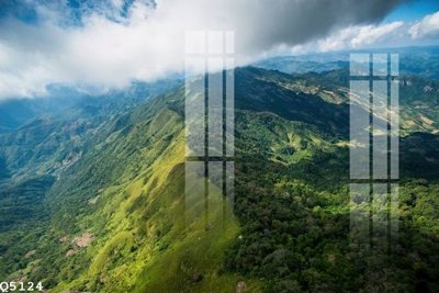 Tải file gốc in lụa File gốc in tranh tổng hợp Q5124 siêu nét