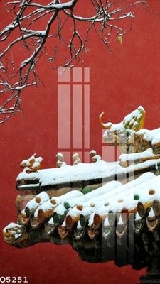 File PSD File gốc in tranh tổng hợp Q5251 (gốc) cho in quảng cáo