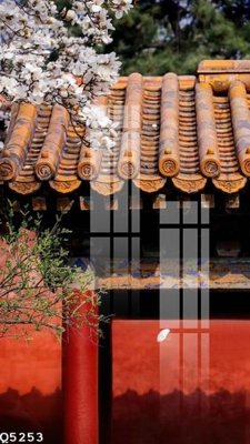 File in ấn chuyên nghiệp File gốc in tranh tổng hợp Q5253 (file gốc)