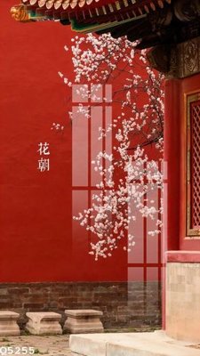 File gốc File gốc in tranh tổng hợp Q5255 (in lụa) hoa văn cổ điển