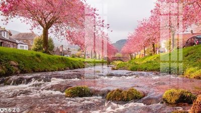 Tải file File gốc in tranh tổng hợp Q5620 (gốc) làm tranh trang trí