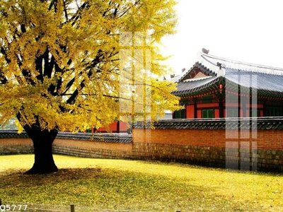 File gốc File gốc in tranh tổng hợp Q5777 (in lụa) cao cấp